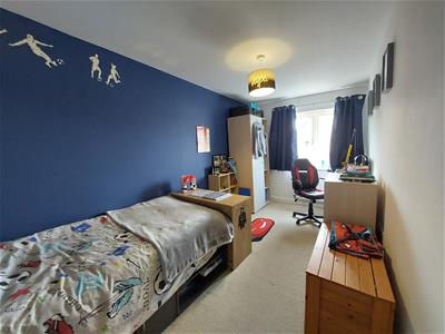 Picture 12